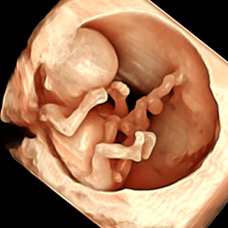 London Pregnancy Clinic