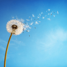 The London Centre for Eating Disorders and Body Image