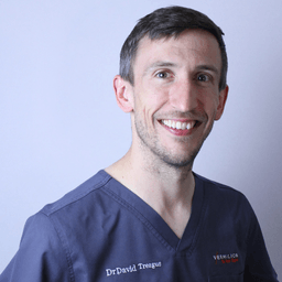 Dr David Treagus
