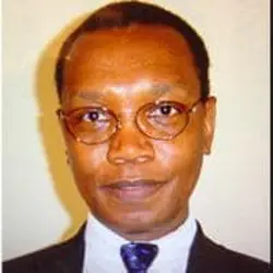 Professor Ian Chikanza | Rheumatology