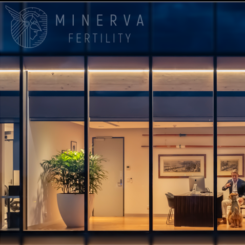 Minerva Fertility