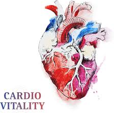 Privatpraxis Dr. Kuche, Praxis für ganzheitliche Kardiologie und Vitalität, Cardio & Vitality