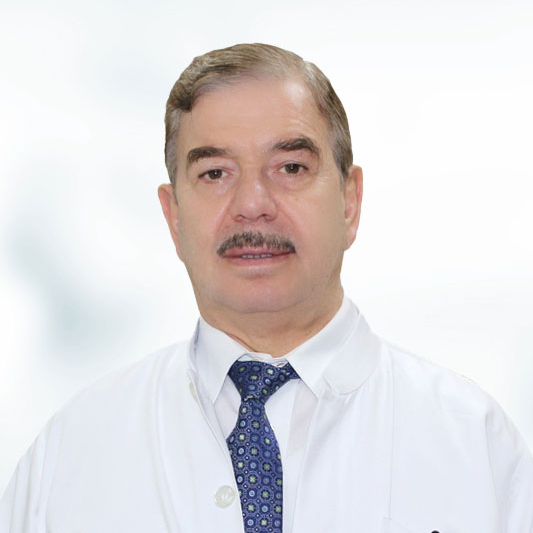 Prof. Dr. Abdul Karim Msaddi