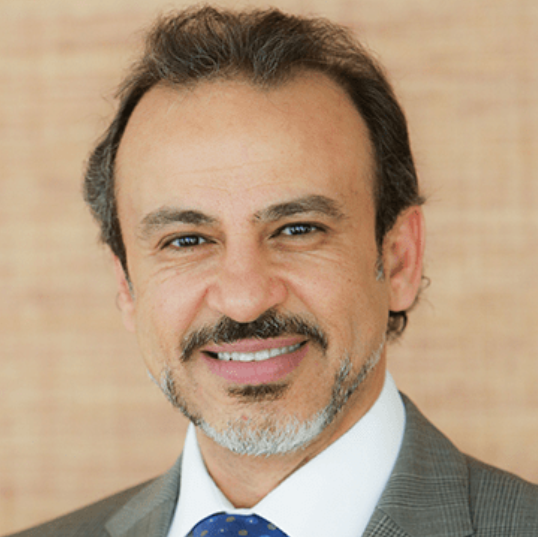 Prof. Ehab N. El-Rayes