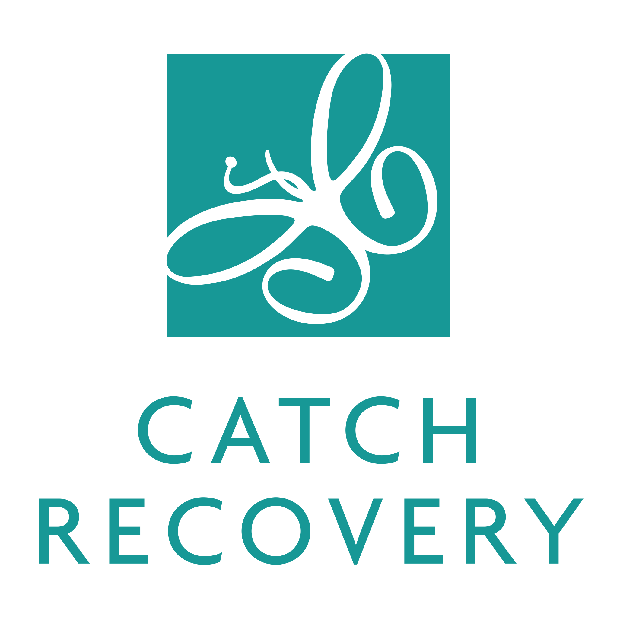 Catch Recovery